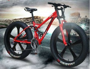 Go anywhere and tackle any terrain with the heavy duty Offroad fat Bike